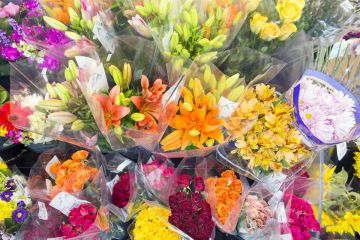 Kwiaciarnia Irys 
 - kwiaty upominki pamiątki - kwiaciarnia - Zakopane